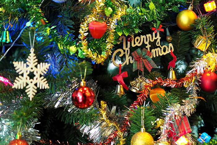Merry Christmas and Tree
