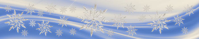 Snowflakes banner