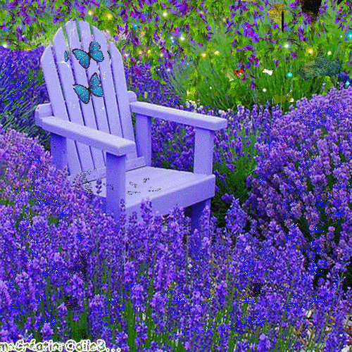 Flowers and Chair